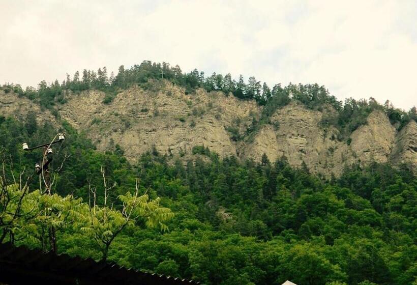 اتاق استاندارد با تخت بزرگ, Erik's Guest House