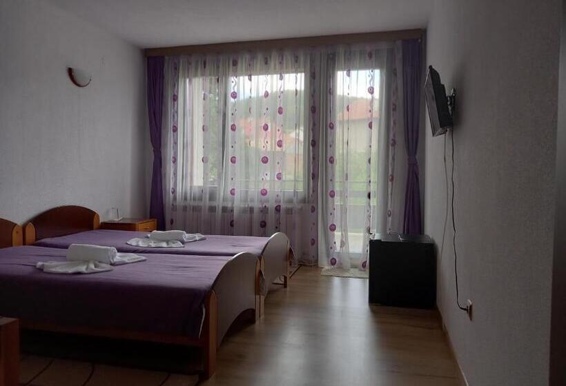 Номер Стандарт с Балконом, Guest House Raffe