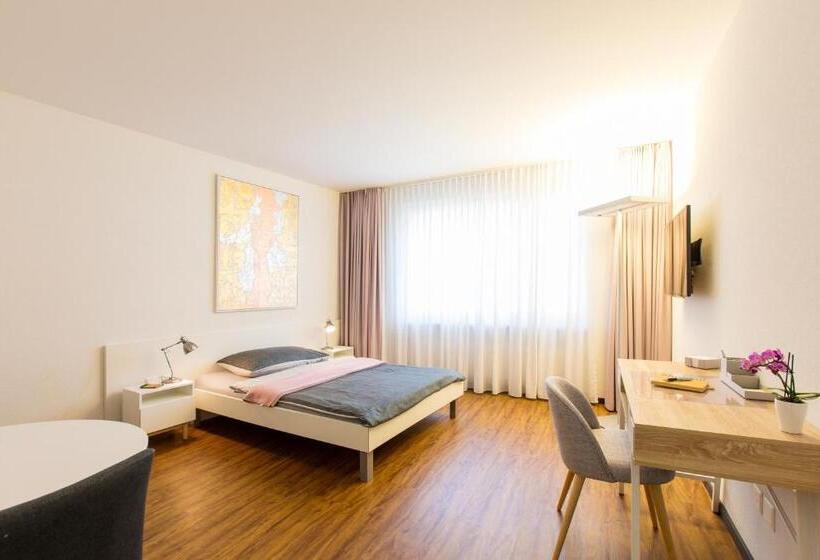 Номер Стандарт Индивидуальный, Apartmenthaus Zum Trillen Basel City Center