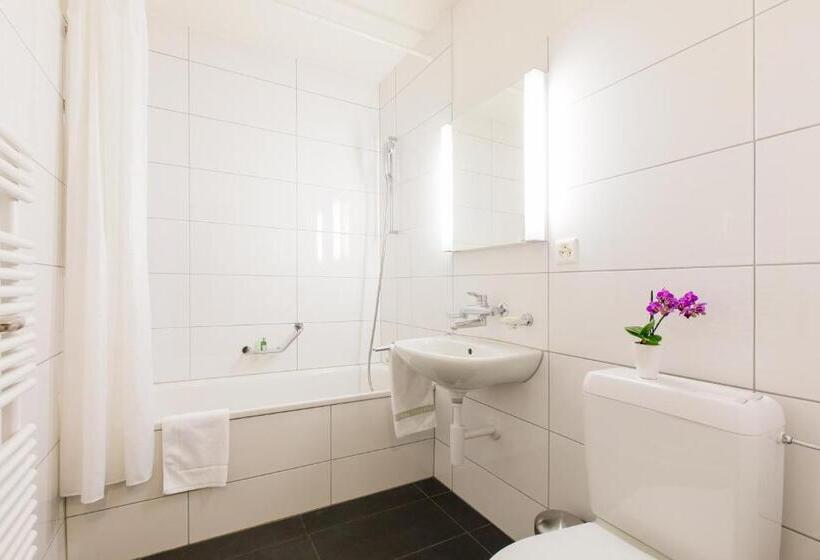 Апартаменты Executive 1 Спальня, Apartmenthaus Zum Trillen Basel City Center