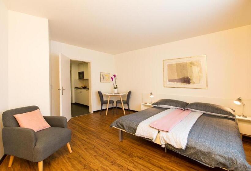 Апартаменты 1 Спальня, Apartmenthaus Zum Trillen Basel City Center