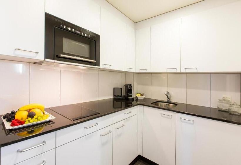 Полулюкс с Балконом, Apartmenthaus Zum Trillen Basel City Center