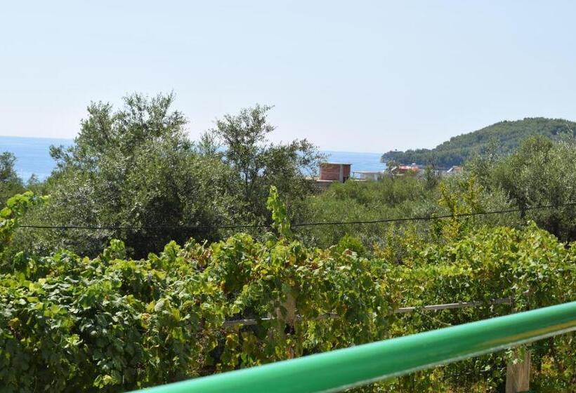 Triple Room Sea View, Velco Bb Himara