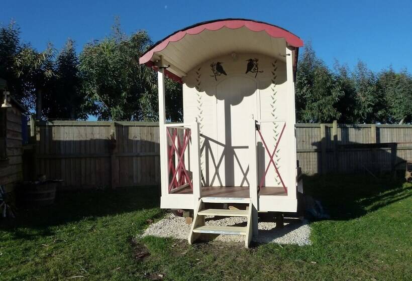 Дом 1 Спальня, Wacky Stays   Unique Farm Stay Glamping Rentals, Free Animal Feeding Tours