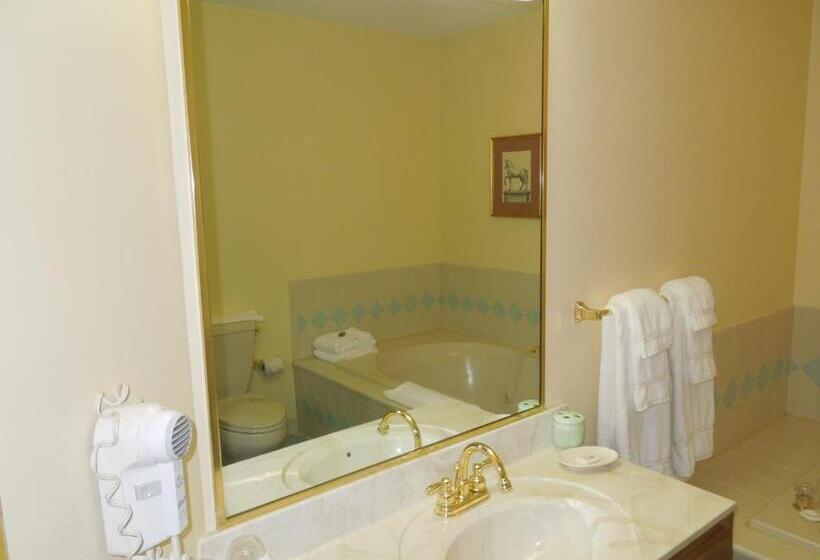 标准间带漩涡浴缸, Guest Quarters At The Bridges Golf Club