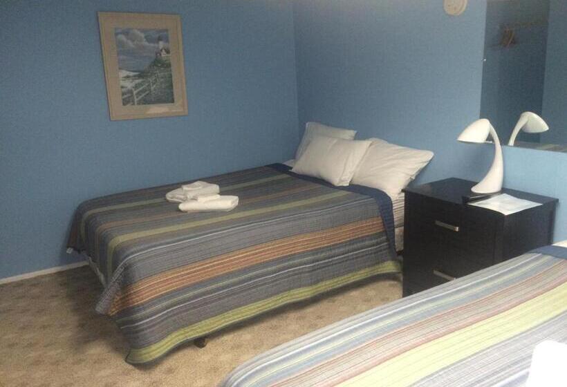 Студия Стандарт, The New Oceanic Inn