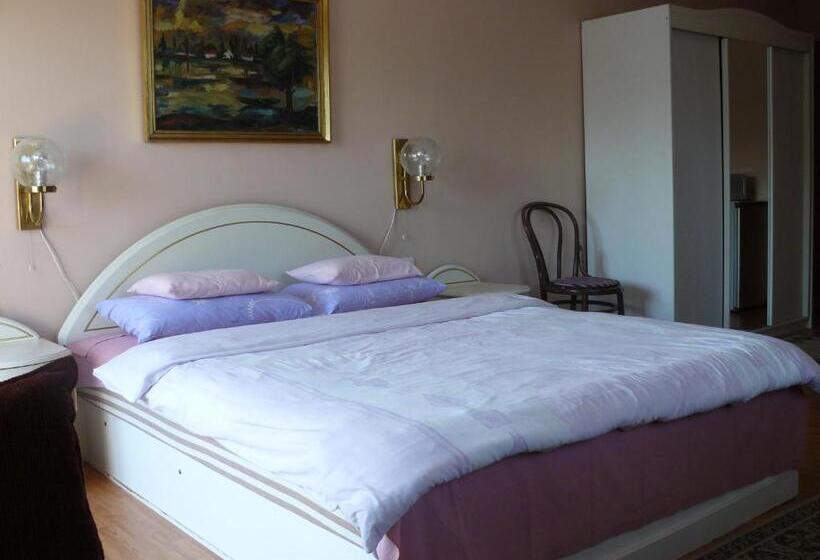 Студио Стандарт с Балконом, Hejő Apartman