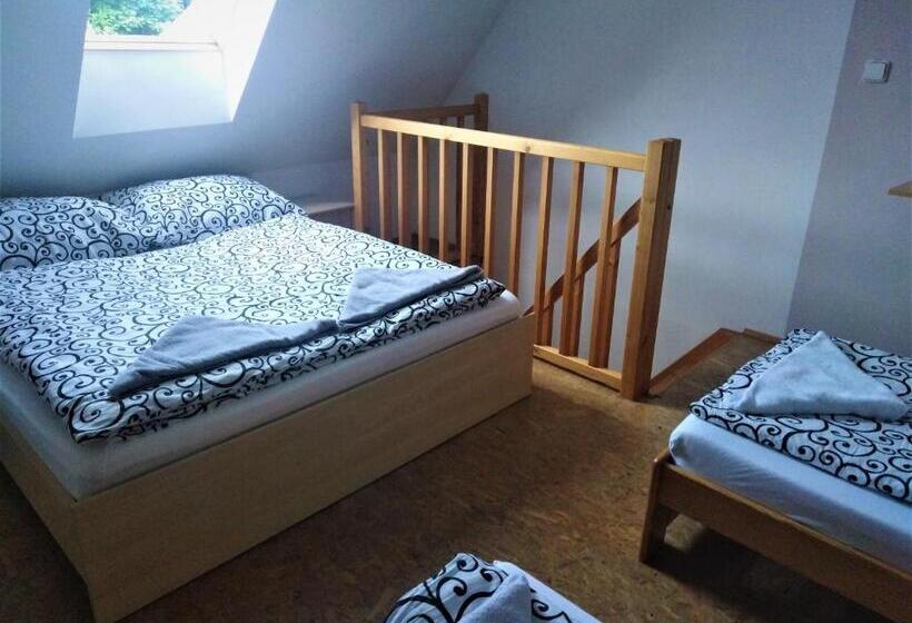 Номер Дюплекс, Penzion U Dvojice