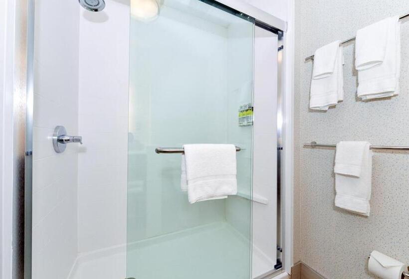 带大床的套房, Holiday Inn Express & Suites   Elko, An Ihg