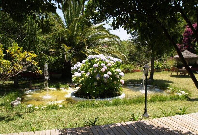 غرفة قياسية, Meson De Sancho