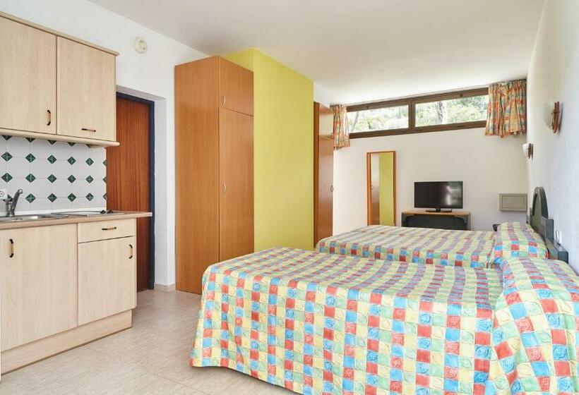 Студия Стандарт, Apartamentos San Miguel Park & Esmeralda Mar