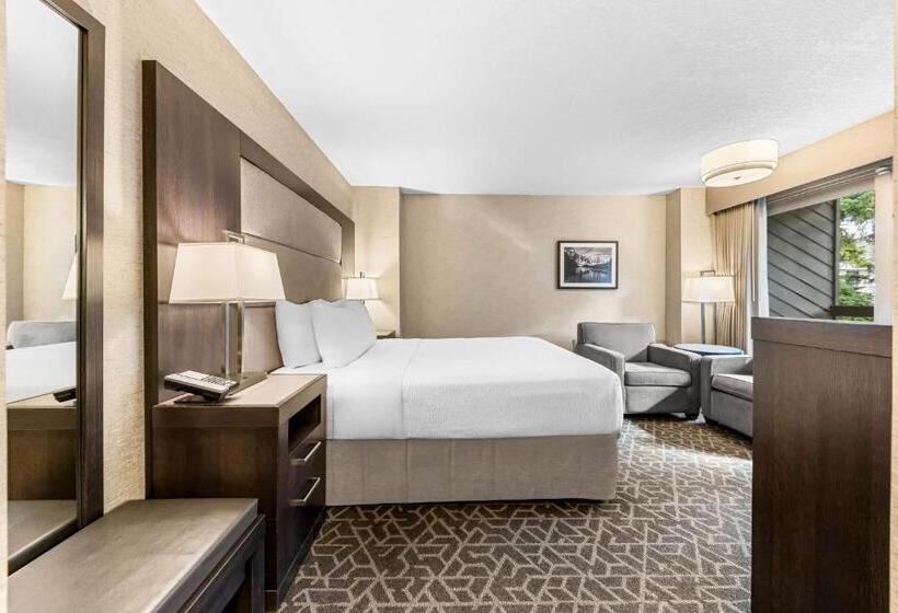 اتاق استاندارد با تخت بزرگ, Best Western Plus Banff International Lodge