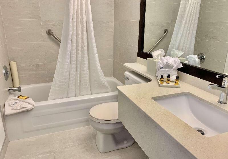 带大床的标准间, Best Western Plus Regency Inn And Conference Centre