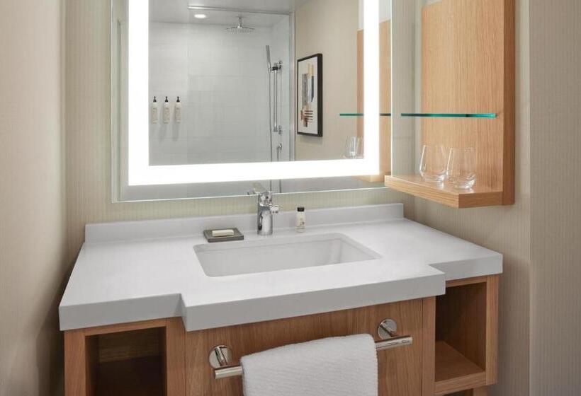 Номер Стандарт, Delta Hotels Calgary Airport In Terminal