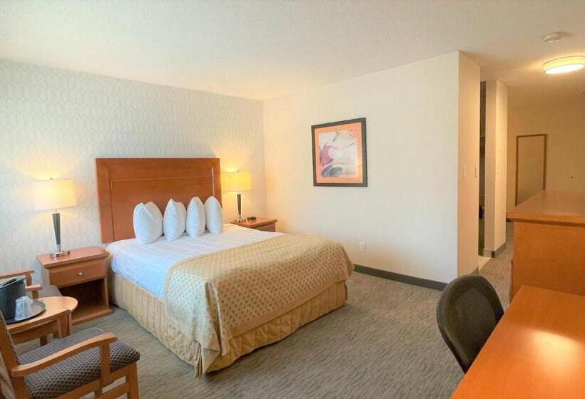 套房, Best Western Plus Langley Inn