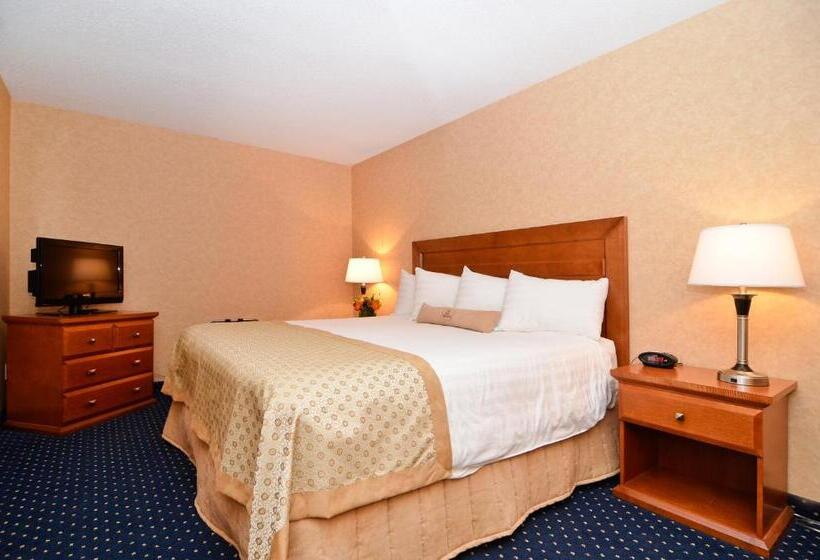 带大床的套房, Best Western Plus Langley Inn