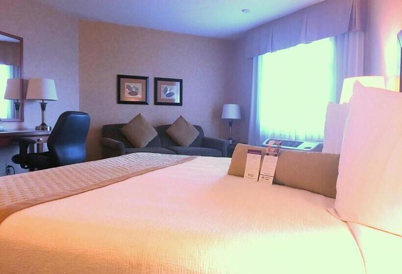 适合残疾人士使用的带超级大床的标准间, Best Western Plus Langley Inn
