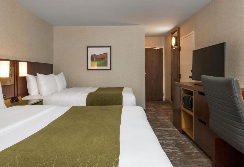 Номер Стандарт, Comfort Inn