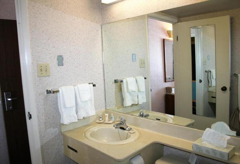 スタンダードルーム, Comfort Inn