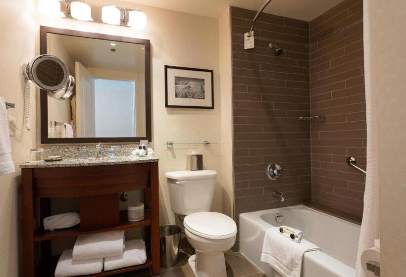 سوئیت با تخت بزرگ, Fairmont Winnipeg