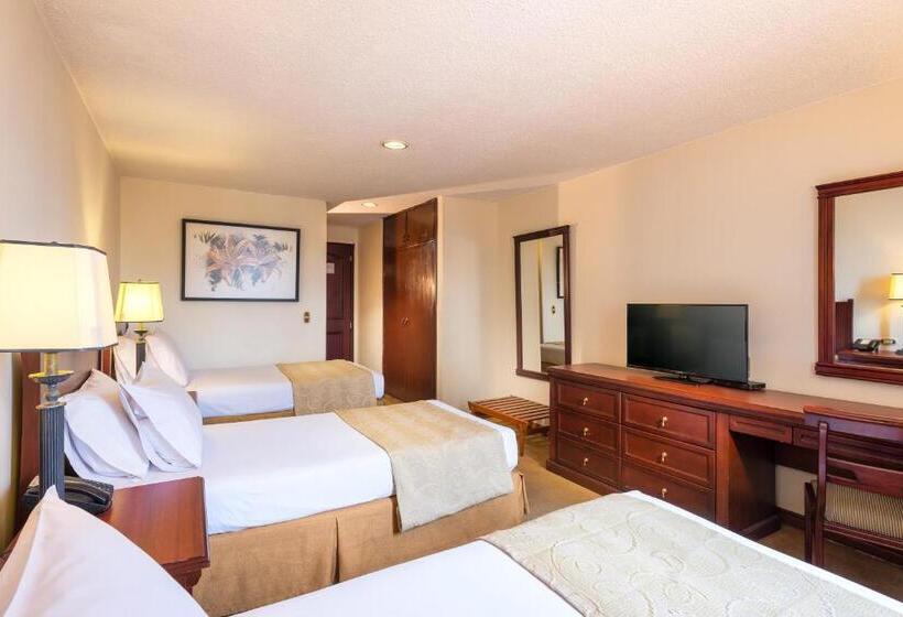 اتاق استاندارد سه نفره, Dann Av. 19