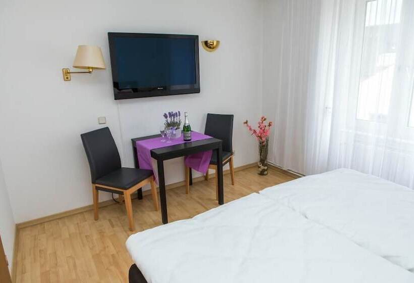 Standart Tek Kişilik Oda, Zwehrener Hof