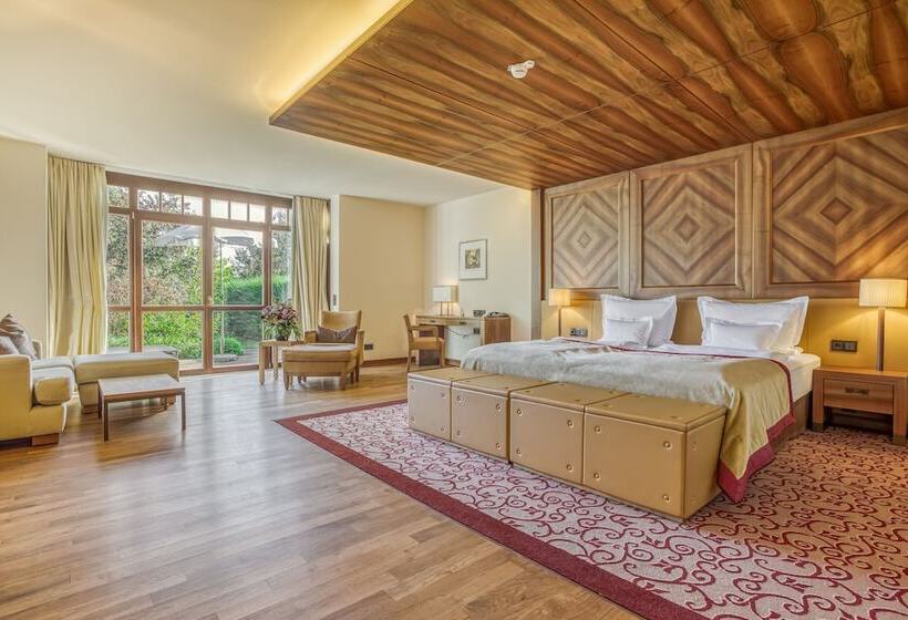 高级小型套房, Wald & Schlosshotel Friedrichsruhe