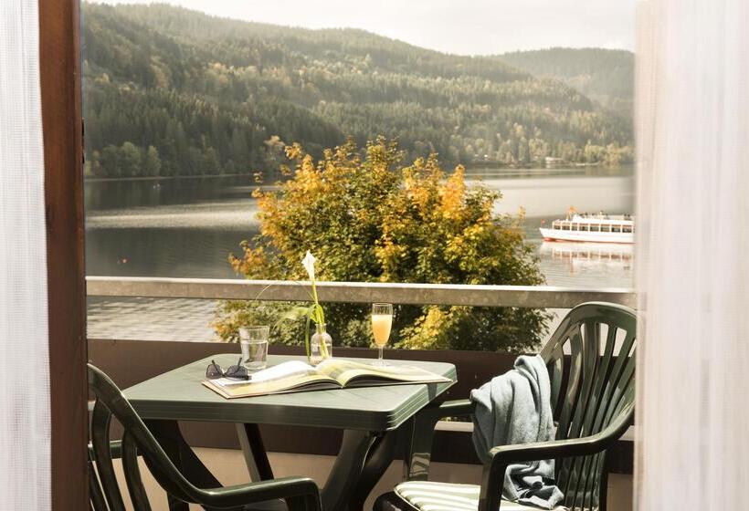 Номер Superior Одноместный, Maritim Titisee