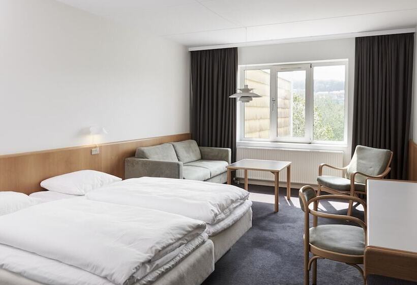 스탠다드 싱글 룸, Vejle Center
