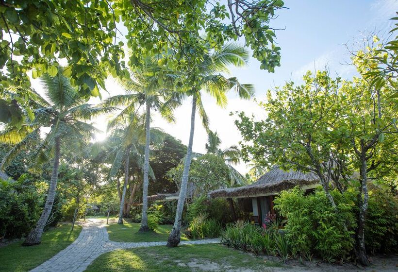 Номер Стандарт, Castaway Island, Fiji