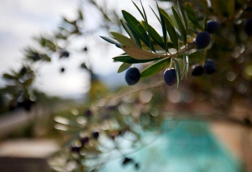 Вилла 2 Спальни Вид на Море, Angsana Corfu Resort & Spa