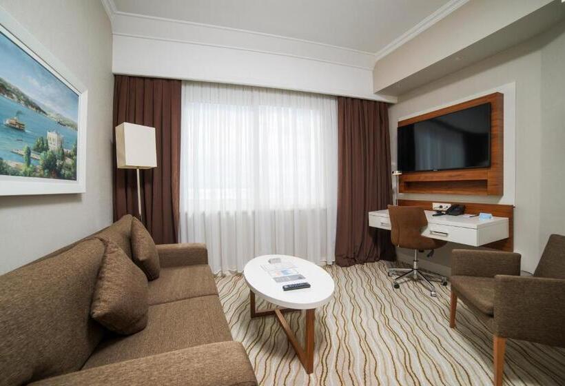 オーシャンビュースーペリアールーム, Radisson Hotel President Old Town Istanbul