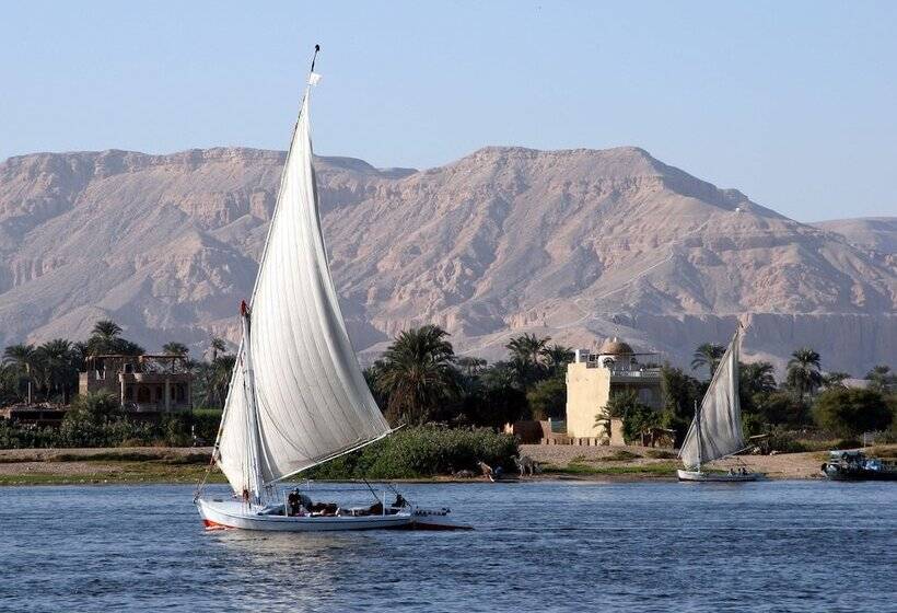 اتاق استاندارد, Iberotel Luxor