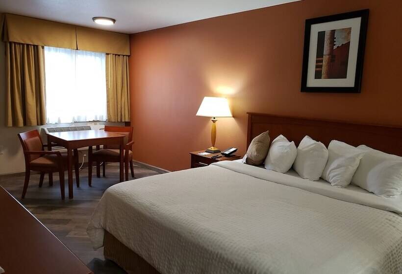 اتاق لوکس, Airport Inn