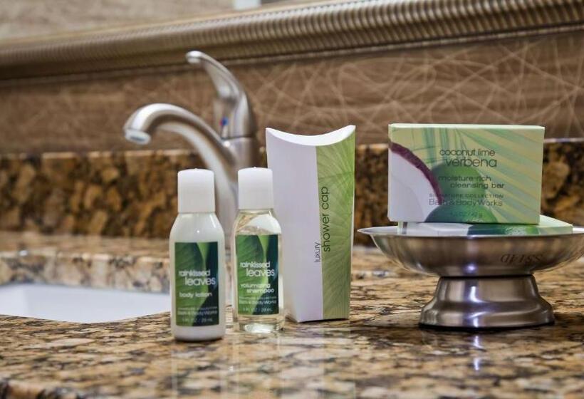 جناح سرير كينج, Best Western Plus Concordville