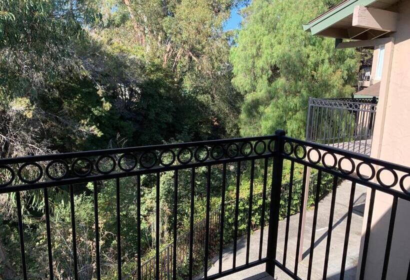 套房, Olive Tree Inn & Suites