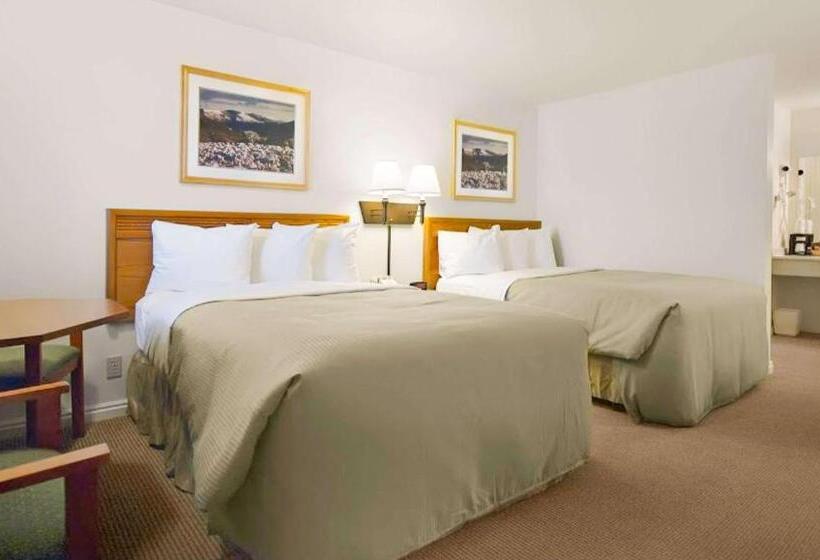 Номер Стандарт 2 Двуспальные Кровати, Magnuson Hotel Park Vue