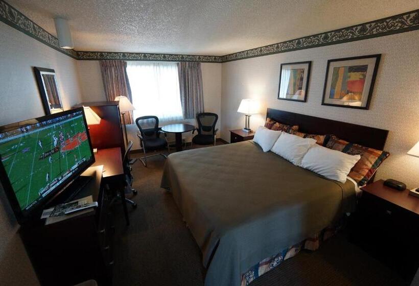 带大床的标准间, Winnemucca Holiday Motel