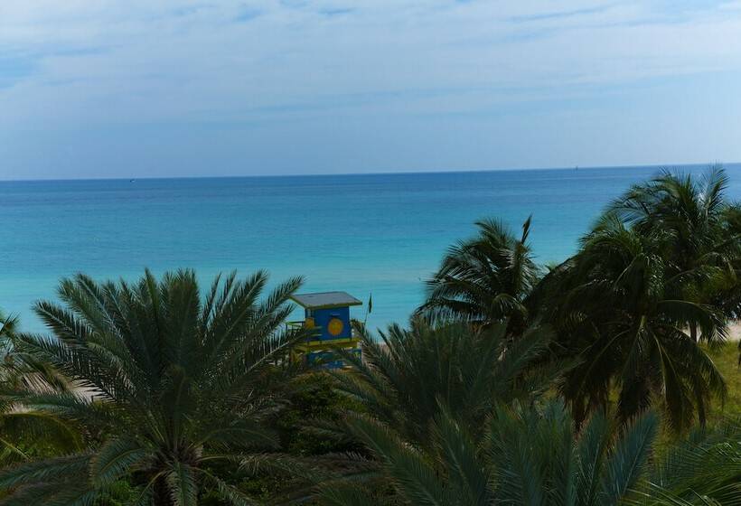 带2个双人床的标准工作室, Broadmore Miami Beach