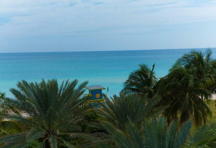 带大床的标准间, Broadmore Miami Beach