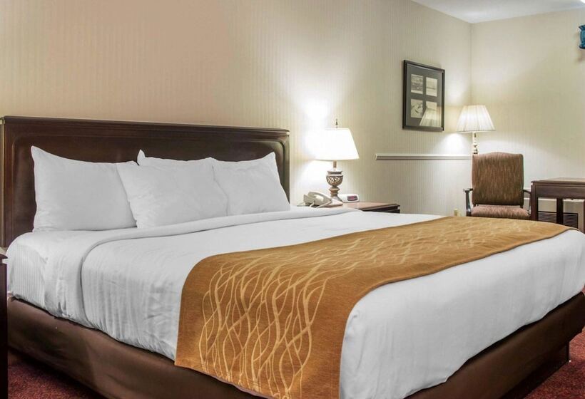 Номер Deluxe, Comfort Inn Lakeside