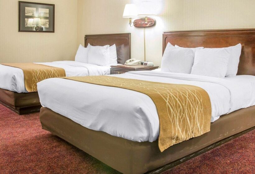 Номер Deluxe Вид на Озеро, Comfort Inn Lakeside
