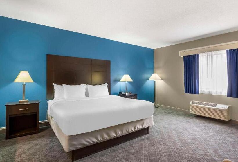 Номер Стандарт Кровать Кинг Адаптированный для Инвалидов, Comfort Inn & Suites Mundeleinvernon Hills