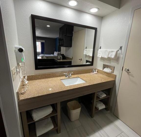Люкс Кровать Кинг, Comfort Inn & Suites Mundeleinvernon Hills