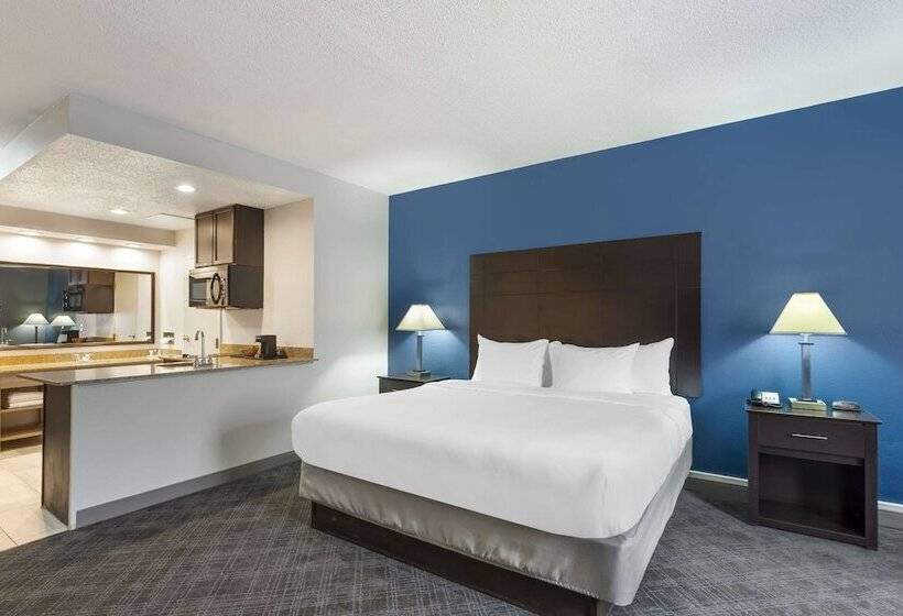 Люкс, Comfort Inn & Suites Mundeleinvernon Hills