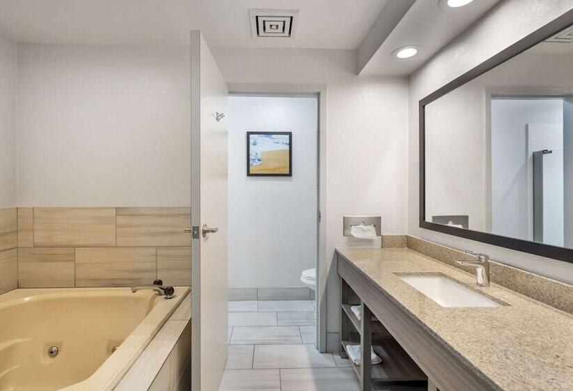 Люкс, Comfort Inn & Suites Mundeleinvernon Hills