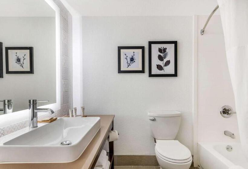 스탠다드 룸 킹사이즈 침대, Country Inn & Suites By Radisson, Atlanta Airport South, Ga