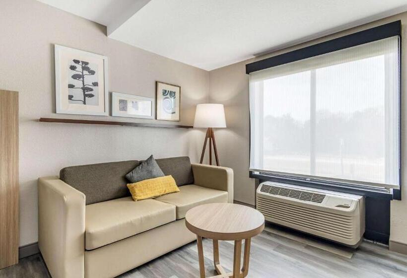 스탠다드 스튜디오, Country Inn & Suites By Radisson, Atlanta Airport South, Ga