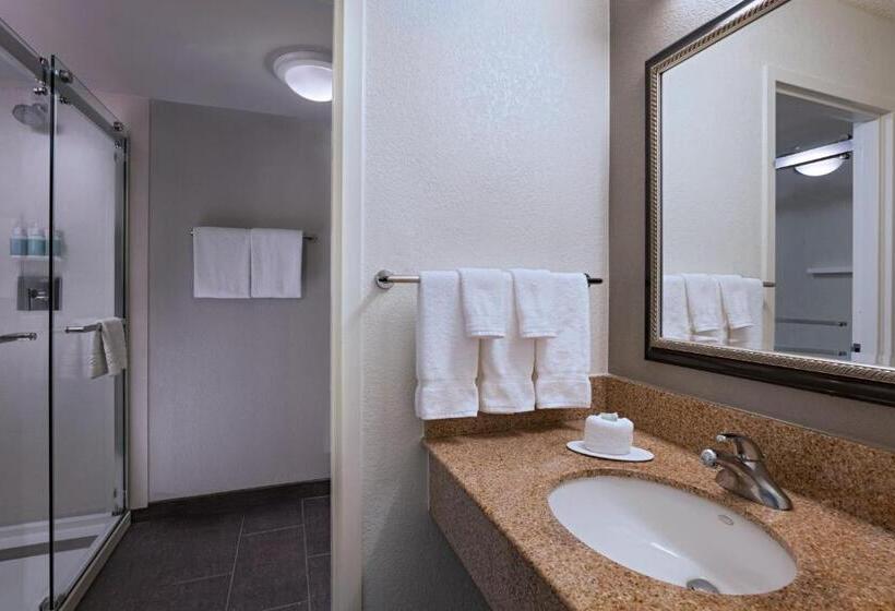Habitació Estàndard, Courtyard By Marriott Dallas Arlington Entertainment District