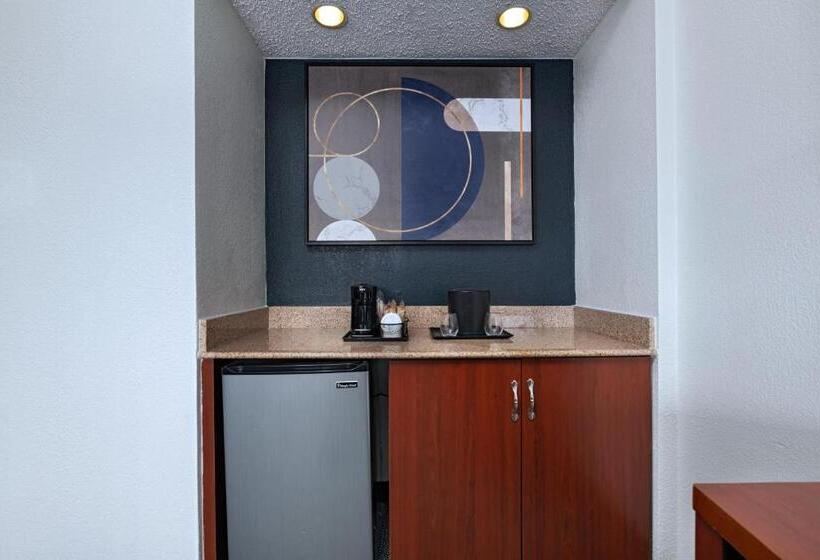 Suite Llit King, Courtyard By Marriott Dallas Arlington Entertainment District